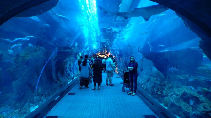Dubai Aquarium & Underwater Zoo