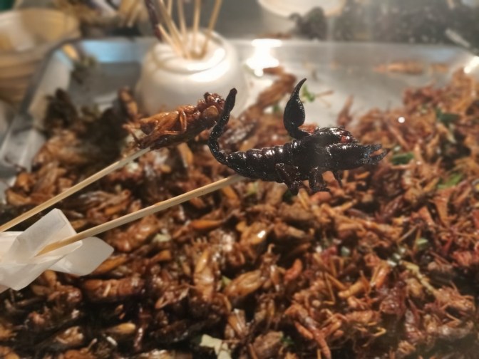 Schorpioen op een stokje