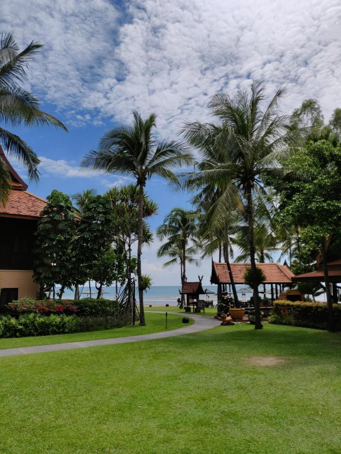 Palmbomen en zeezicht