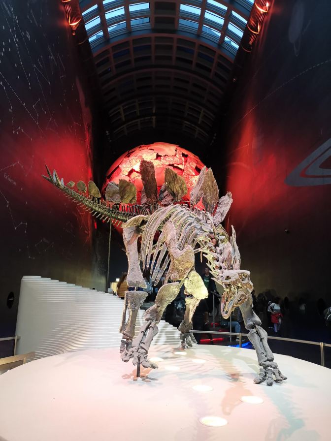 Skelet Natural History Museum London