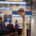 Het leukste museum in Londen: Natural History Museum