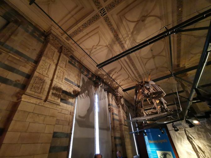 Natural History Museum London