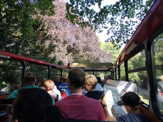 Stadtrundfahrt Hamburg