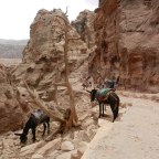 Thee drinken boven de ‘Schatkamer’ in Petra