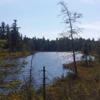 Tip voor Toronto-gangers: bezoek het Algonquin Provincial Park