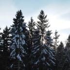 Upcoming: snowboarden in Fins Lapland