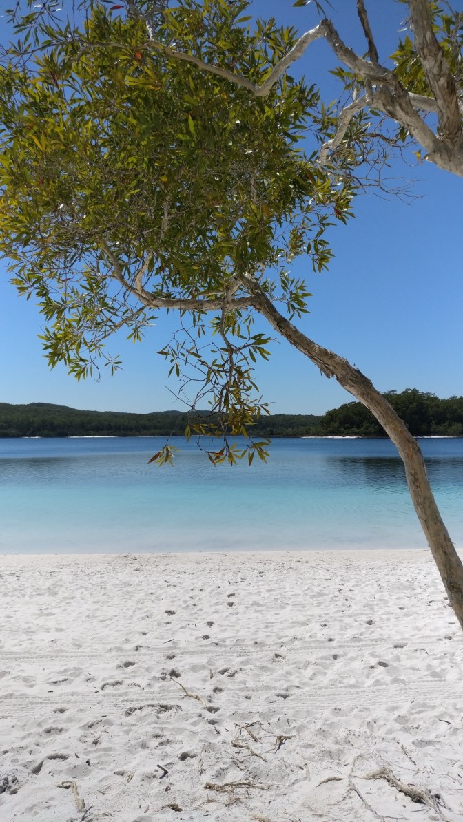 Stilleven bij Lake McKenzie