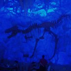Zo fout, maar zo fantastisch: het T-Rex Café in Orlando