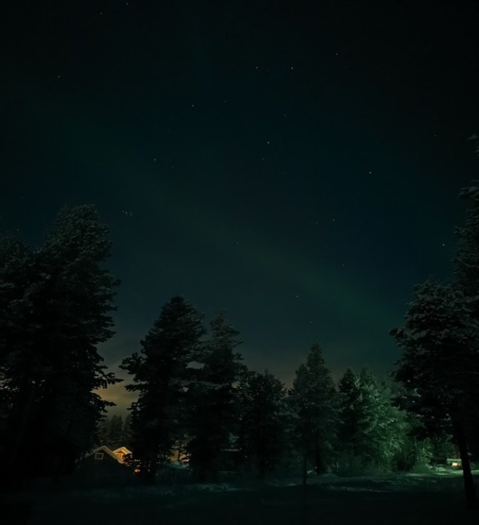 Aurora boven de bomen