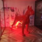 Niu Franz: dé hoteltip voor een goedgeprijsd weekend Wenen