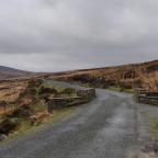 Oversteken in Dublin: je zit in candid camera