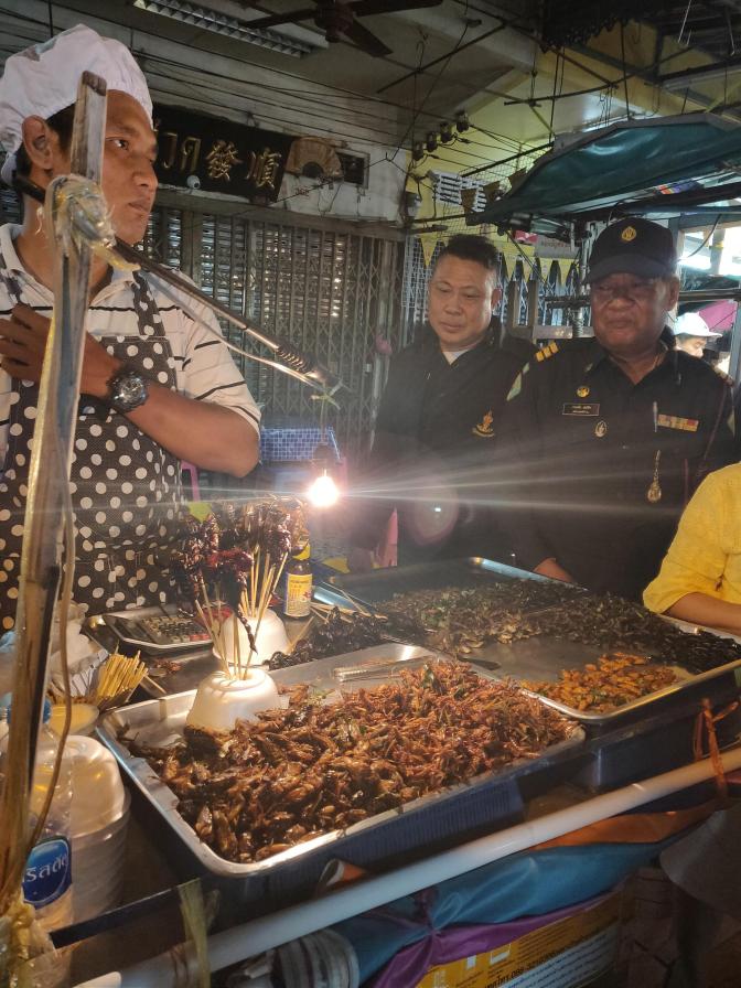 Insecten, kikkers en schorpioenen