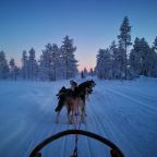 Tundra Huskies: een prima plek voor een huskysafari