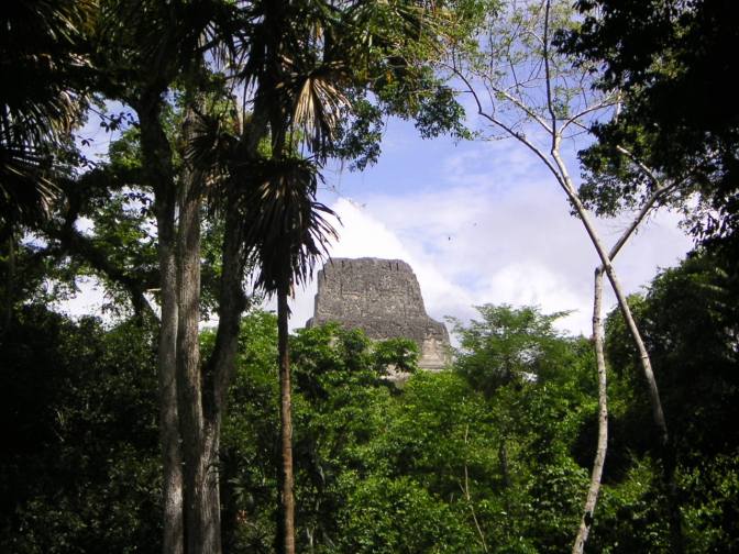 Doorkijk in Tikal, Guatemala