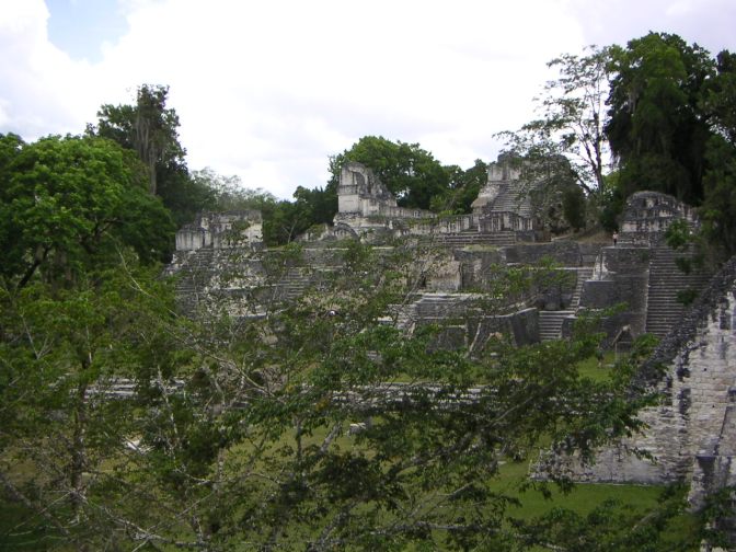 Blootgelegde ruïnes in de jungle