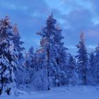 Een week leven op de toendra in Siberië? Part II