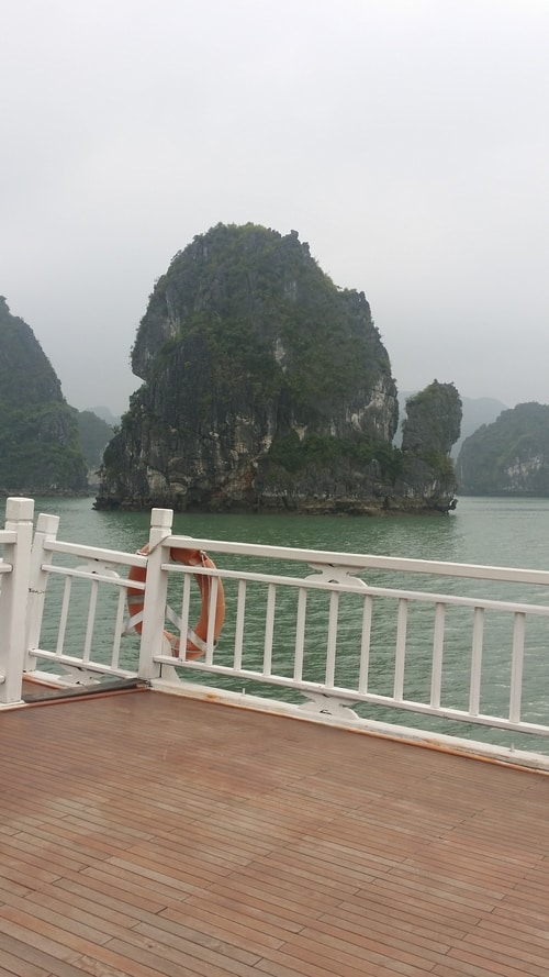 Dit is bijvoorbeeld een schildpad