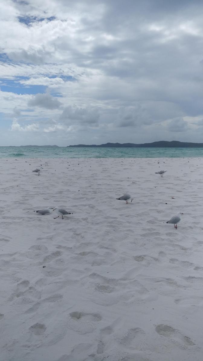 Meeuwen kennen dit prachtige plekje ook