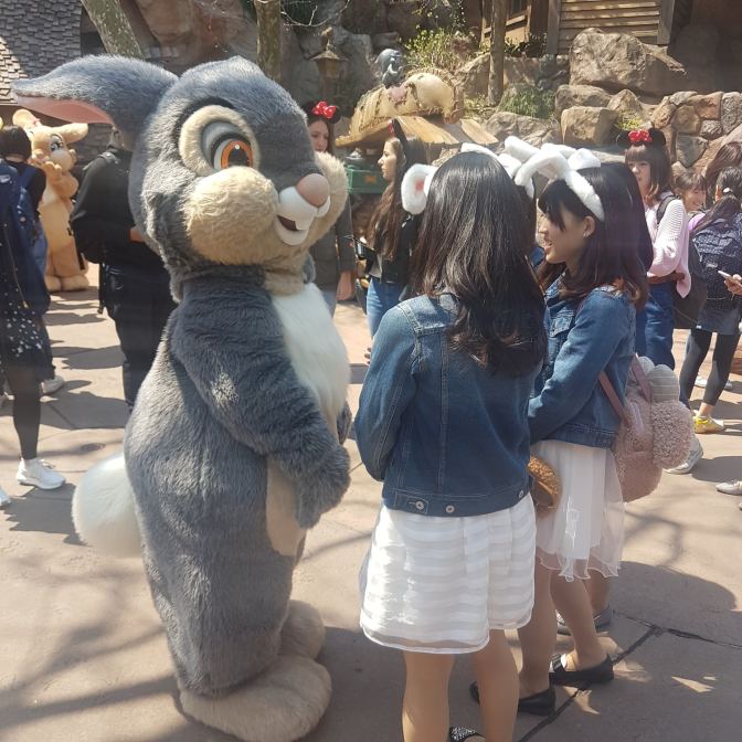 Disneyland Tokio: schattig op zoveel manieren
