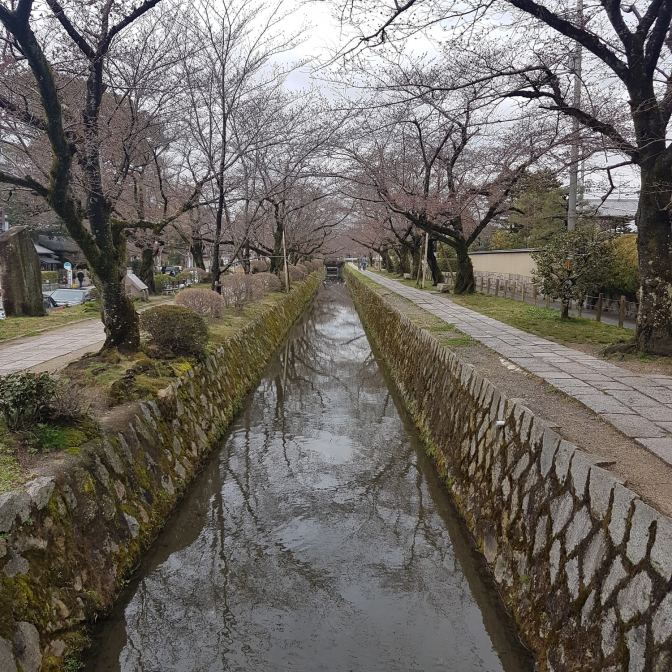 Helemaal zen op het Philosopher's Path