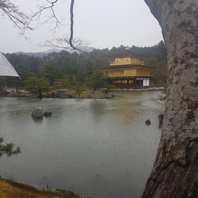 Het Golden Palace in de regen