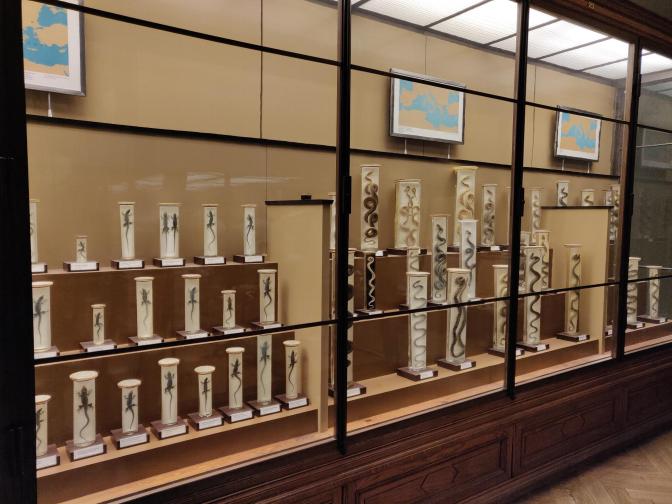 Duizenden reptielen op sterk water