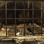 Creepy: dwalen in de catacomben van St. Stephens Cathedral in Wenen