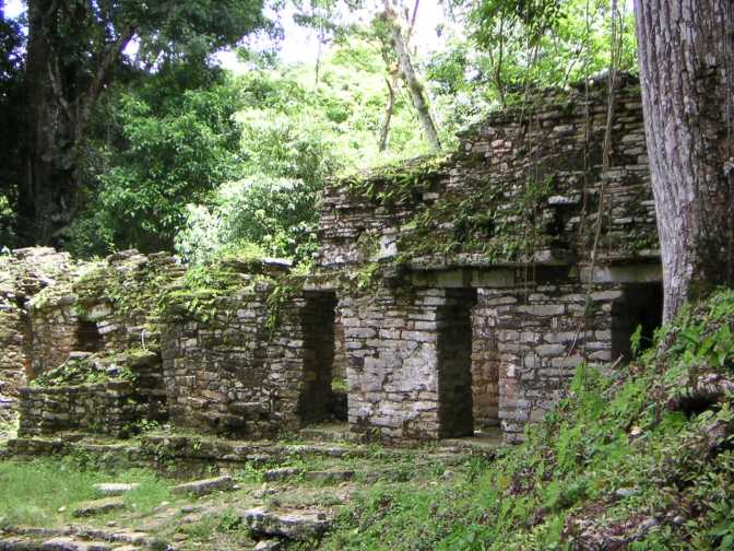 Overwoekerde ruïnes 