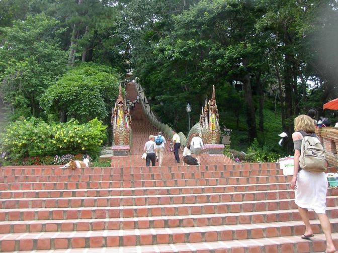 Het is een oase van rust