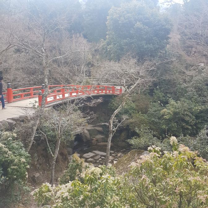 Het is een prachtig park: heel Japans
