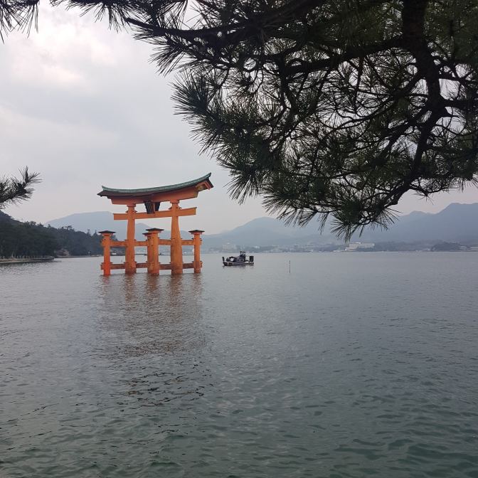 De Torii in de ochtend
