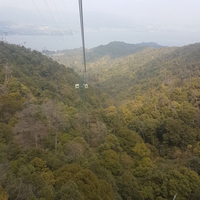 Genoeg groen te zien vanuit de kabelbaan