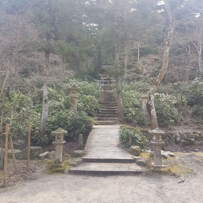 Maar ook vanaf de grond is het een groene wereld