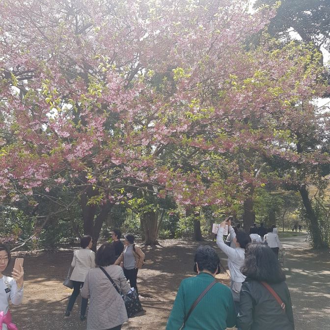 Er worden dan ook een heleboel foto's gemaakt.