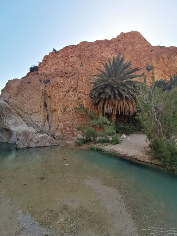 Het hart van de oase in Tozeur