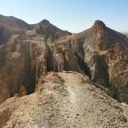 De jeepsafari van Kras-reis Betoverend Tunesië: naar een oase bij Tozeur