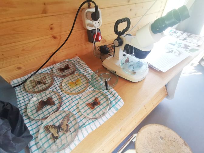 Je mag lekker op ontdekkingstocht