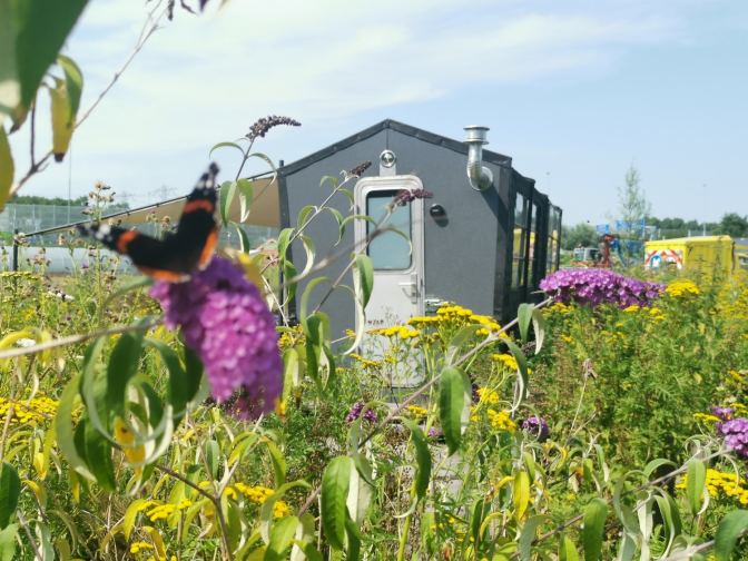 Het perfecte plaatje, toch?