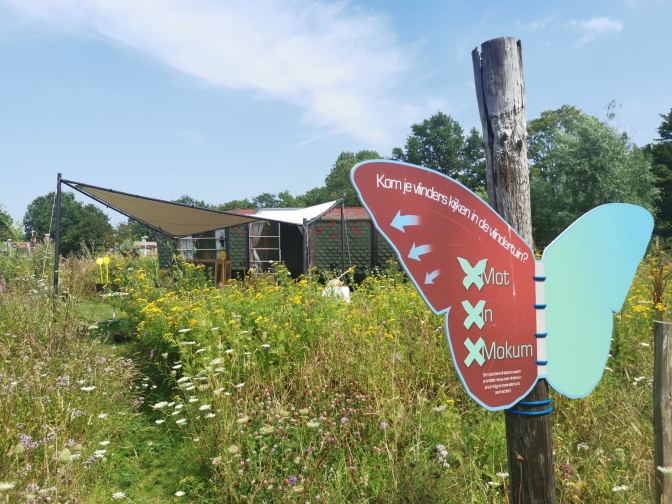 Het is heerlijk bij Mot in Mokum