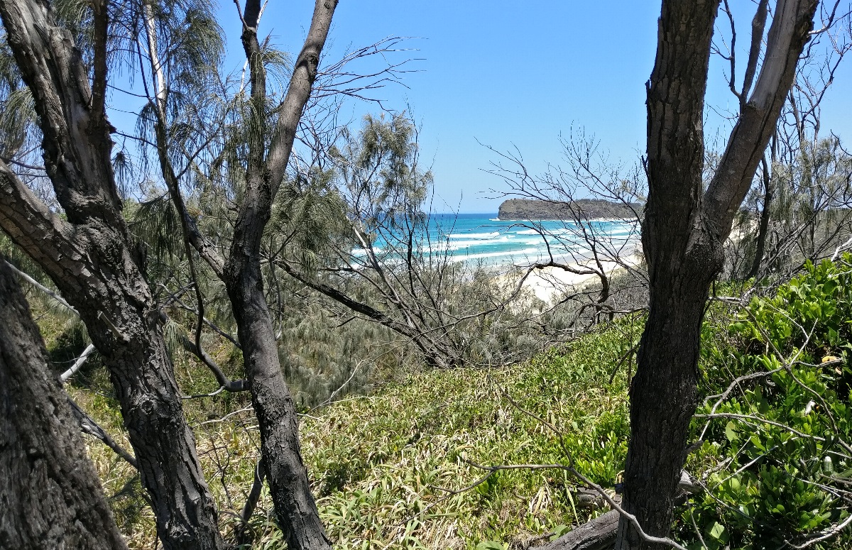 Fraser Island