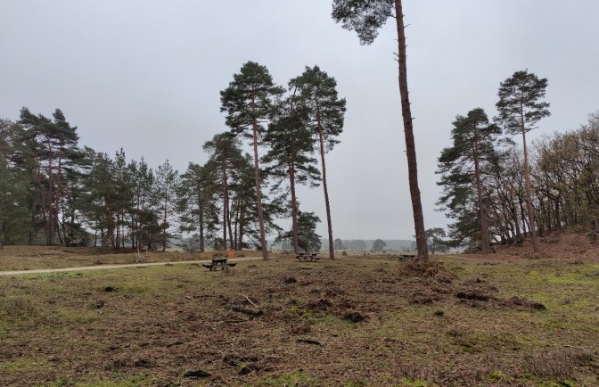 Hoge Veluwe