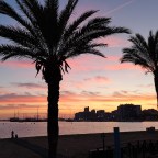 De stoute schoenen aan: een reis geboekt naar Ibiza