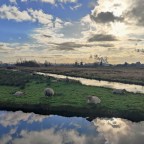 Must-eat op de Zaanse Schans: vegan saucijzenbrood van het Zaanse Bakkertje
