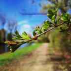 “Ga maar weg met je Coronapaspoort”