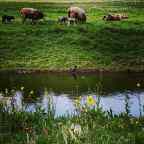 Tripje naar Landal en ANWB-lid? Dat betekent korting!
