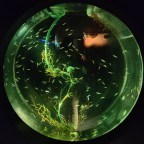 5 dingen op om Texel te doen als het regent