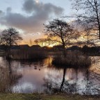 Ook de goedkope huisjes van Landal Sluftervallei zijn top
