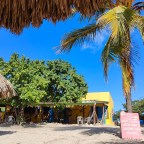 Zwemmen met zeeschildpadden op Curaçao kan gratis op Daaibooi beach